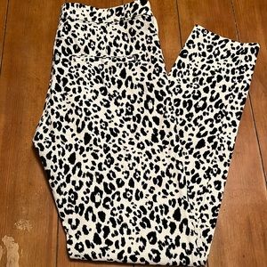 Leapord Print Show Stoppers